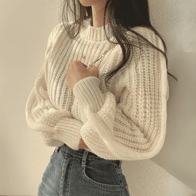 RoseWhisper Round Neck Knitted Sweater