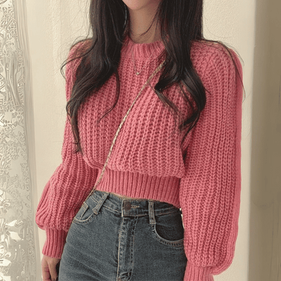 RoseWhisper Round Neck Knitted Sweater